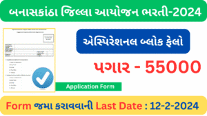 Aspirational Block Fellow Banaskantha Recruitment 2024