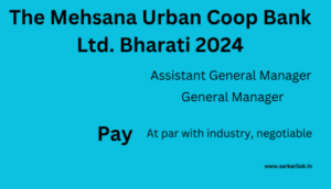 Chief Risk Officer Bharati 2024