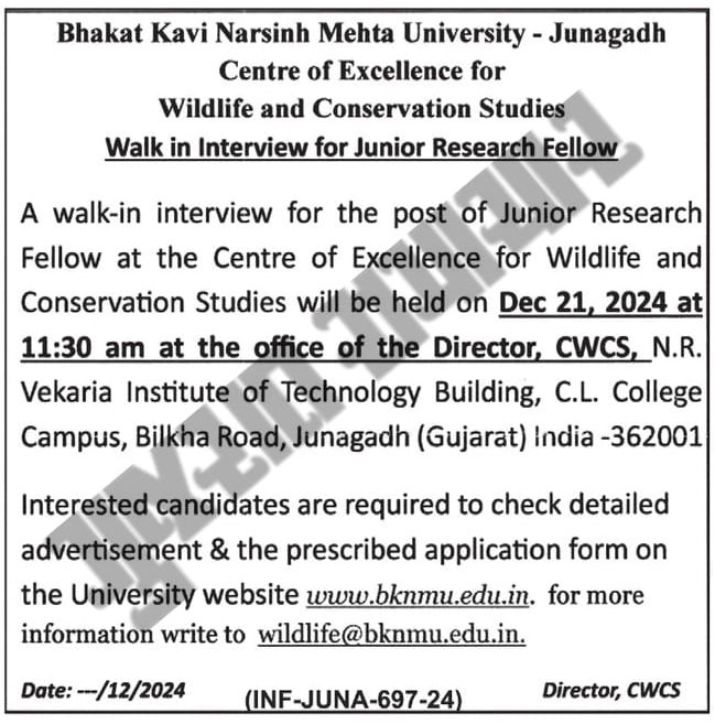 Bknmu Recruitment 2024 Junior Research Fellow post | જુનીયર રિસર્ચ ફેલો ૨૦૨૪ વોક ઇન ઇન્ટરવ્યૂ દ્વારા ભરતી 2 Bknmu Recruitment 2024