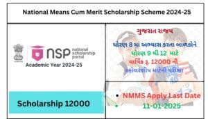 NMMS Scholarship 2024-25 | National Means Cum Merit Scholarship Scheme 2024-25 | નેશનલ મીન્સ કમ મેરીટ સ્કોલરશીપ યોજના 2024-25