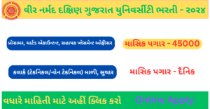 VNSGU Recruitment 2024 Various Post