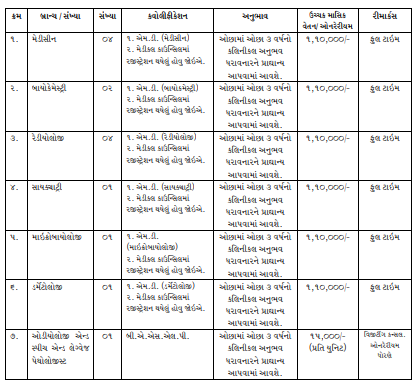 Sheth VS Gen Hospital And Sheth Chinai Maternity Hospital Reruitment 2025 2 image 3