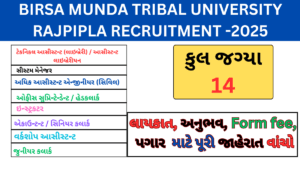BMTU Rajpipla Recruitment 2025 Technical Post | બિરસા મુંડા ટ્રાયબલ યુનિવર્સીટી ભરતી 2025