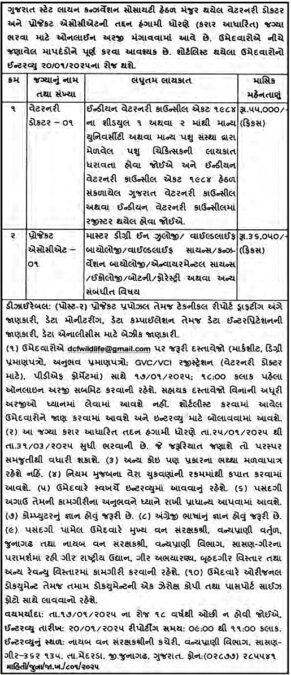 GSLCS Recruitment 2025 | ગુજરાત રાજ્ય લાયન કન્ઝર્વેશન સોસાયટી જુનાગઢ વન વિભાગમાં વેટરનરી ડોકટર અને પ્રોજેક્ટ એસોસીએટ ભરતી 2025 2 GSLCS Recruitment 2025