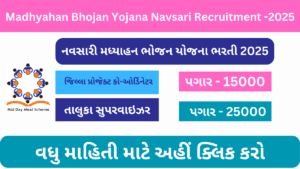 Navsari MDM Bharati 2025 | PM Poshan Yojana Navsari Bharati | જિલ્લા પ્રોજેક્ટ ઓફીસર અને તાલુુુકા સુપરવાઇઝર ભરતી 2025