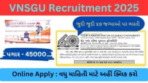 VNSGU Recruitment 2025 Various Post | વીર નર્મદ દક્ષિણ ગુજરાત યુનિવર્સીટીમાં 47 જગ્યા પર ભરતી 2025