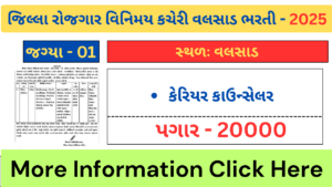વલસાડ રોજગાર કચેરીમાં કેરિયર કાઉન્સેલરની ભરતી: લાયકાત અને અરજી પ્રક્રિયા જાણો